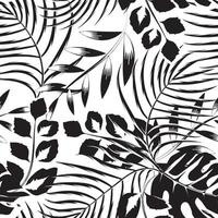 hojas de palma de monstera tropical vintage patrón sin costuras con follaje de plantas sobre fondo blanco. ornamento de la naturaleza negra. papel pintado del bosque. fondo tropical. patrón de la naturaleza vieja ilustración de la selva vector