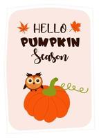 Greeting card with pumpkin and owl. Hello pumpkin season quote. Print as a card or a cozy poster. vector