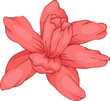 mão desenhar esboço flor e folha png