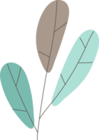 Plant cartoon cute png