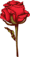 dibujar a mano boceto de flores y hojas png