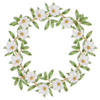 Flower wreath and frame watercolor png