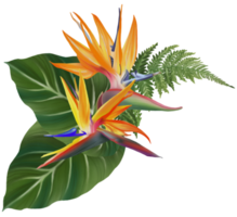 composición de flores tropicales acuarela pintura a mano png