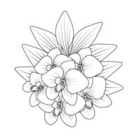 orchid flower outline line coloring page of easy sketches hand drawing design vector