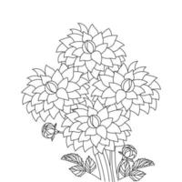 dahlia flower illustration with pencil stroke in doodle art design of coloring page design vector