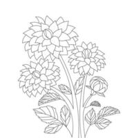 dahlia flower illustration with pencil stroke in doodle art design of coloring page design vector