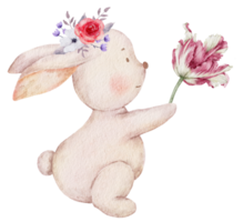 påsk söt kanin akvarell png