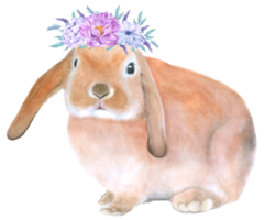 conejo pascua animal con flor acuarela png