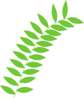 florales Element. grüne Blätter png