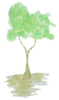 Aquarellbaum. Baum png transparenter Hintergrund