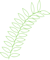 floral outline. plant leaves outline png