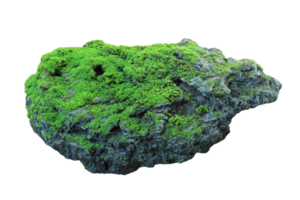 roccia ricoperta di muschio verde isolato su sfondo trasparente png