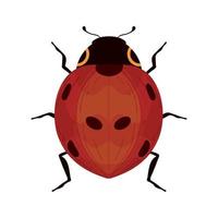 cute ladybird bug vector
