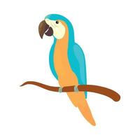 macaw bird on branch vector