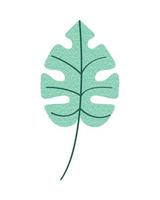 exotic leaf texture vector