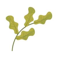 leaves foliage icon vector
