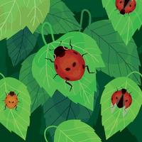 ladybirds on leaves vector