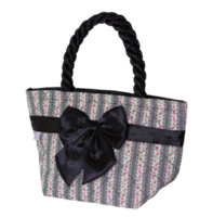 women bag with bow isolated with clipping path png