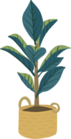 estilo de desenho à mão de plantas em vasos. png