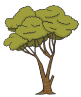 Tree painting, Hand drawn style. png