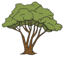 peinture d'arbre, style dessiné à la main. png