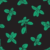 Basil Pattern. Italian herbs.A sprig of marjoram vector