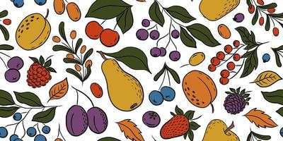 WHITE VECTOR SEAMLESS PATTERN WITH COLORFUL FRUITS AND BERRIES