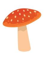 mushroom nature icon vector
