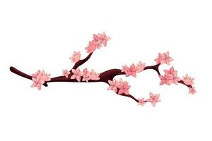 sakura branch tree vector