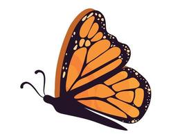 mariposa monarca voladora vector