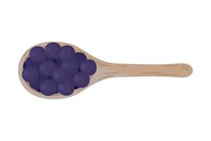 blueberries in spoon vector