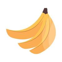 tropical banana icon vector