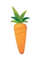 icon carrot vegetable vector