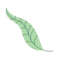 texture leaf flora vector
