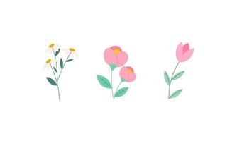 Set of Spring Flowers Collection vector