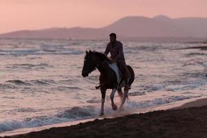 A modern man in summer clothes enjoys riding a horse on a beautiful sandy beach at sunset. Selective focus photo