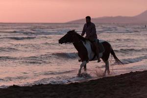 A modern man in summer clothes enjoys riding a horse on a beautiful sandy beach at sunset. Selective focus photo