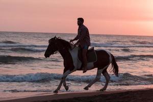 A modern man in summer clothes enjoys riding a horse on a beautiful sandy beach at sunset. Selective focus photo