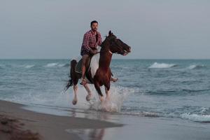 A modern man in summer clothes enjoys riding a horse on a beautiful sandy beach at sunset. Selective focus photo