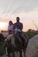 The family spends time with their children while riding horses together on a sandy beach. Selective focus photo