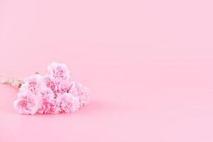 Mother's Day, Valentine's Day holiday gift design concept, pink carnation flower bouquet with wrapped box isolated on light pink background, copy space. photo