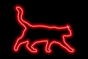 Neon red cat on a black background. The cat walks with its tail raised high vector