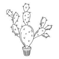 Mexican cactus in house pot in hand drawn doodle style. Simple illustration of mexican cactus vector. vector