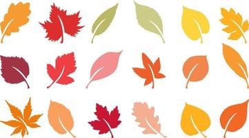 Autumn leaves set vector