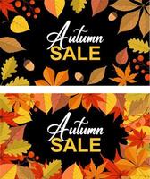 Autumn sale banner vector