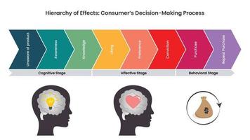 Hierarchy of Effects vector