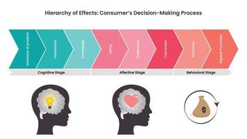 Hierarchy of Effects vector
