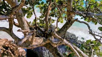 antiche rovine di tulum sito maya tempio piramidi manufatti vista sul mare messico. video