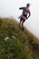 Oltre il colle, Lombardy, Italy 2018 - Flowers edelweiss on the path to the passing of an extreme cosra competition in the mountains photo