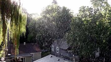 pioggia con luce del sole video